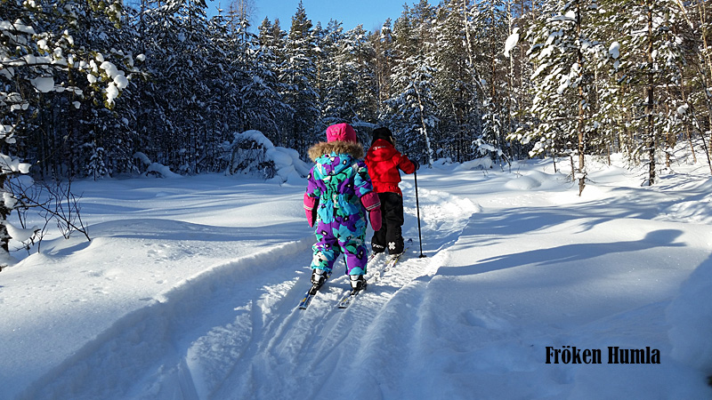 Längskidor,skogstur