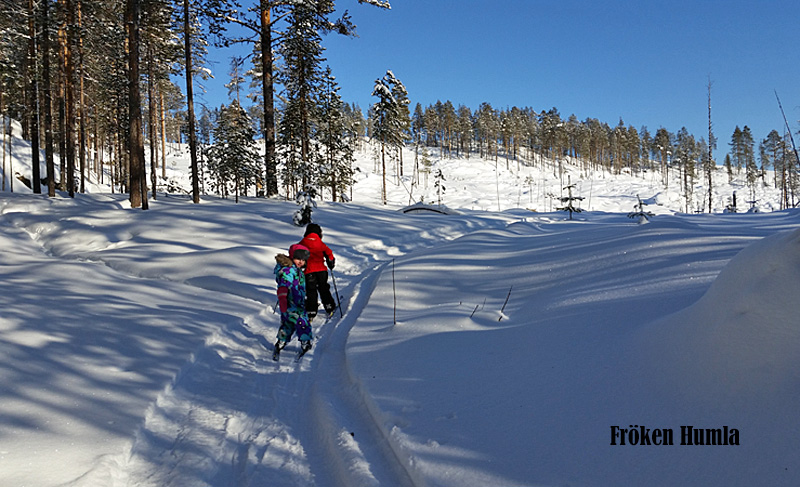 Längskidor,skogstur