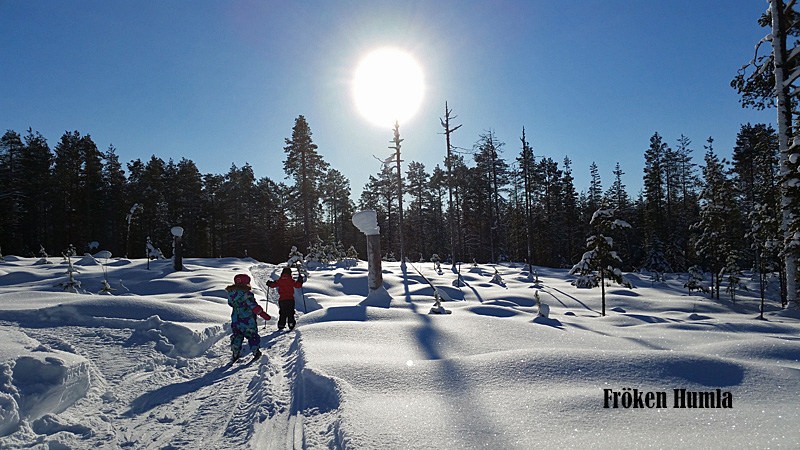 längskidor,skogstur,vårsol