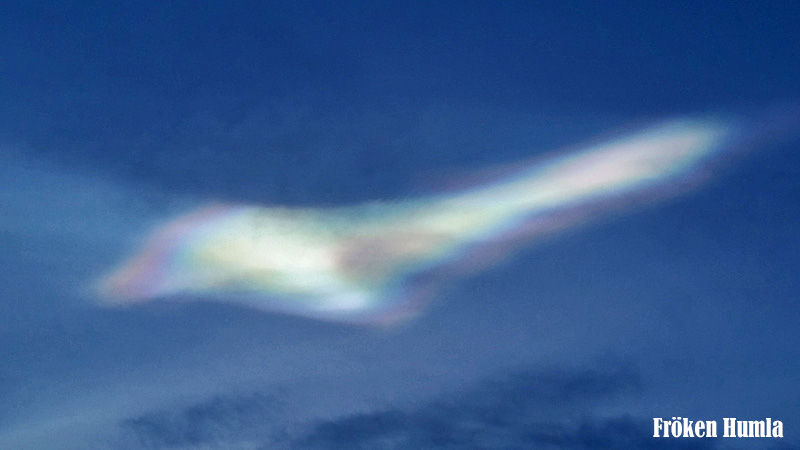 pärlemormoln,polar stratospheric cloud,north,sweden,norrbotten,fröken humla,jenny holmgren
